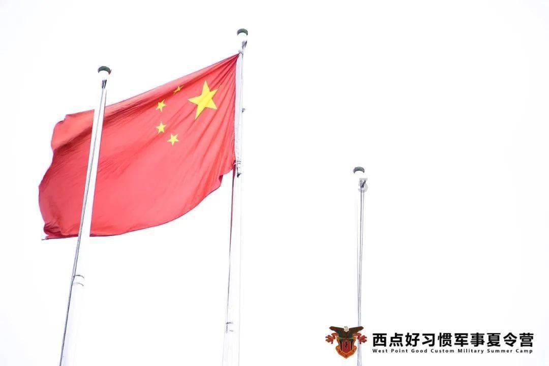 拯救可爱小鳄鱼